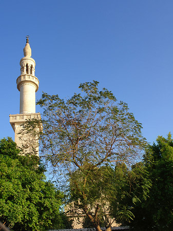 Fotos Moschee in Luxor