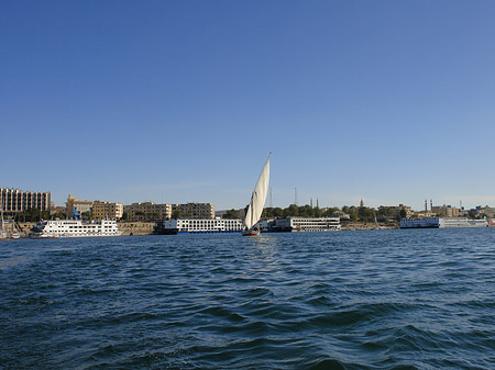 Foto Felucca