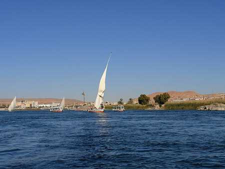 Felucca