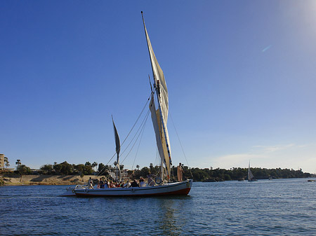 Foto Felucca