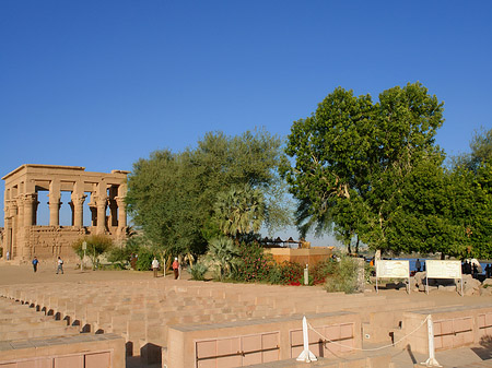 Foto Tempel zwischen Bäumen