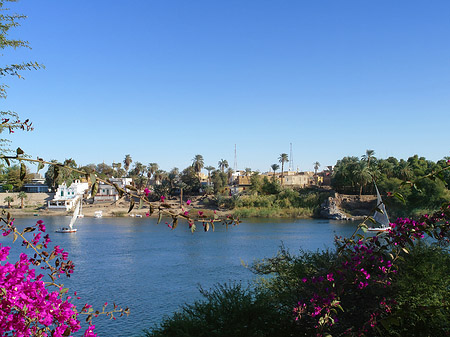 Foto Boote - Aswan