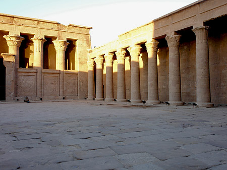 Foto Horus Tempel