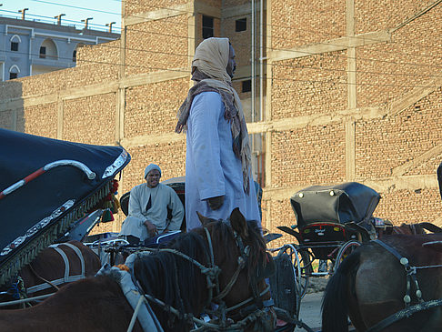 Foto Pferdekutsche - Edfu