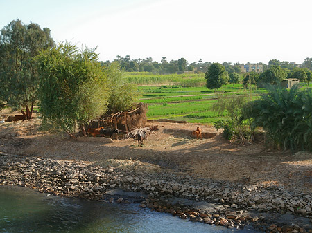 Foto Hütten