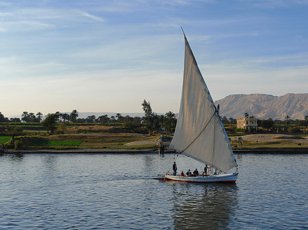 Foto Felucca - 