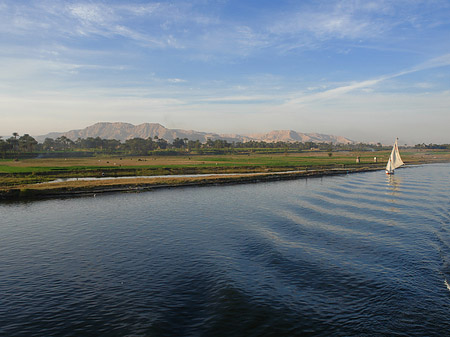 Foto Felucca