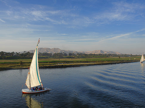 Felucca