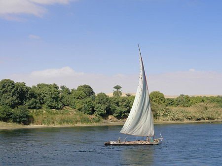 Foto Felucca