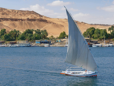 Foto Felucca