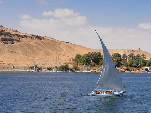 Felucca Foto 