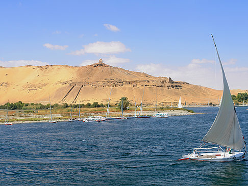 Foto Felucca