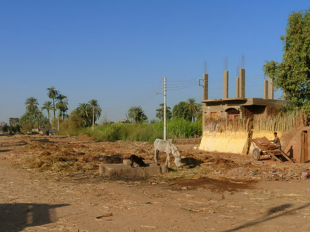 Foto Hütten - Luxor