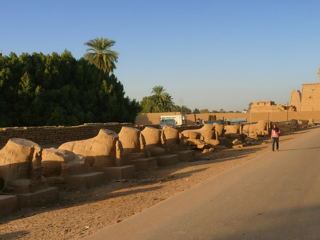 Fotos Stadt | Luxor