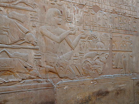 Hieroglyphen Fotos